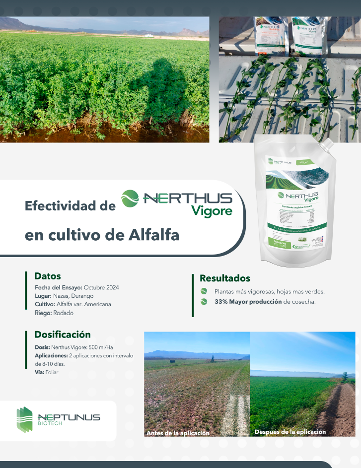 Efectividad de Nerthus Vigore en cultivo de Alfalfa
