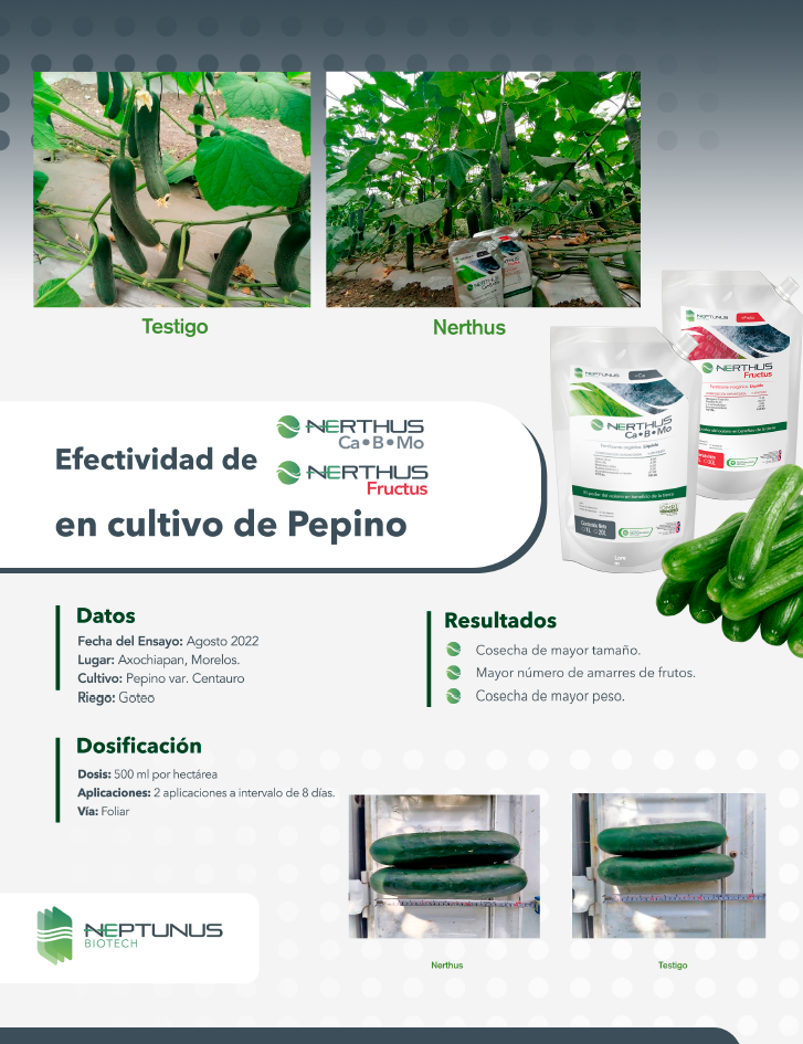Efectividad de Nerthus CaBmo y Nerthus Fructus en cultivo de Pepino