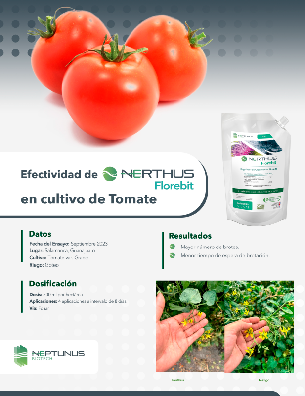 Efectividad de Nerthus Florebit en cultivo de Tomate