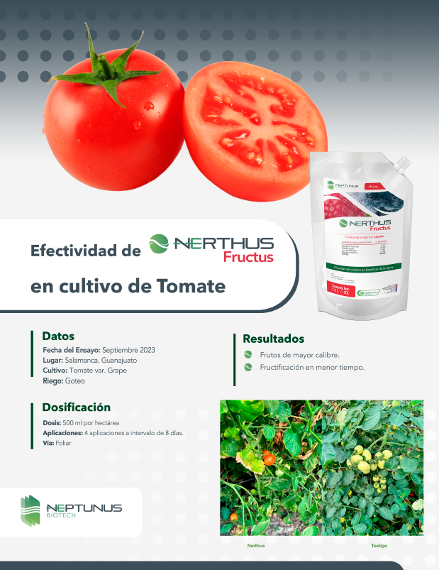 Efectividad de Nerthus Fructus en cultivo de Tomate