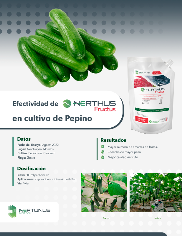 Efectividad de Nerthus Fructus en cultivo de Pepino
